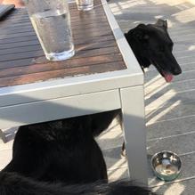 Table9 restaurant view 7