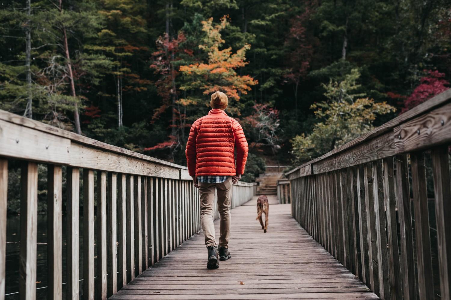 10 Stunning Hikes to Experience Fall With Fido