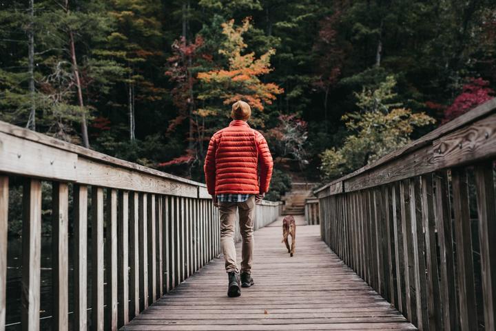 10 Stunning Hikes to Experience Fall With Fido 10 Stunning Hikes to Experience Fall With Fido