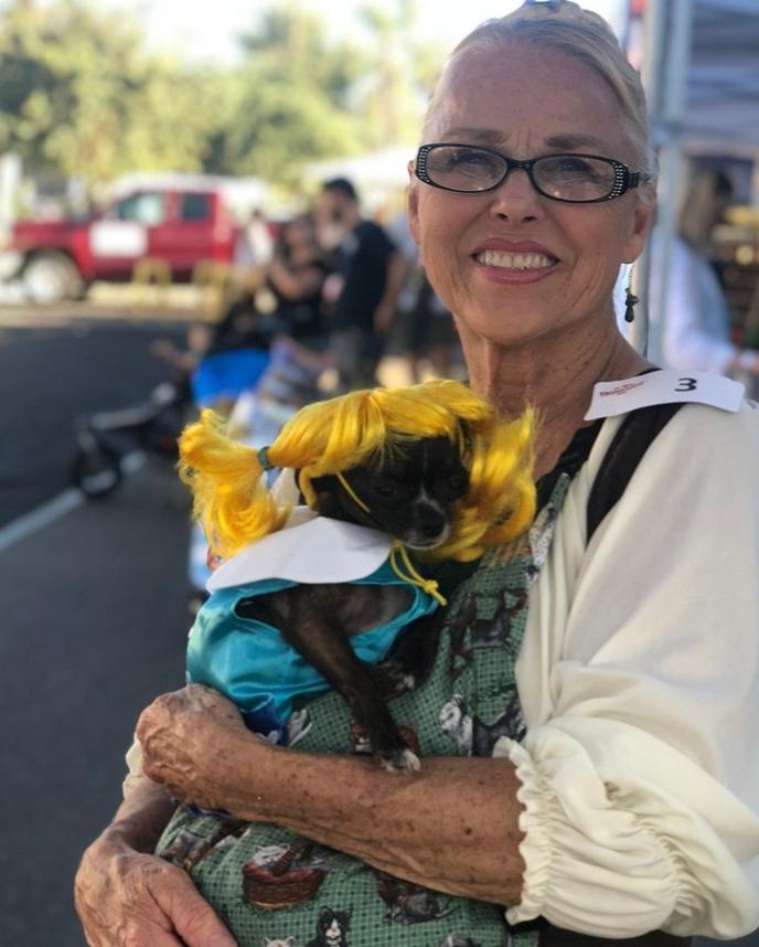La Mesa's pet-friendly Oktoberfest includes a Dachshund Village! La Mesa Oktoberfest is a pet-friendly festival with a Dachshund Village!