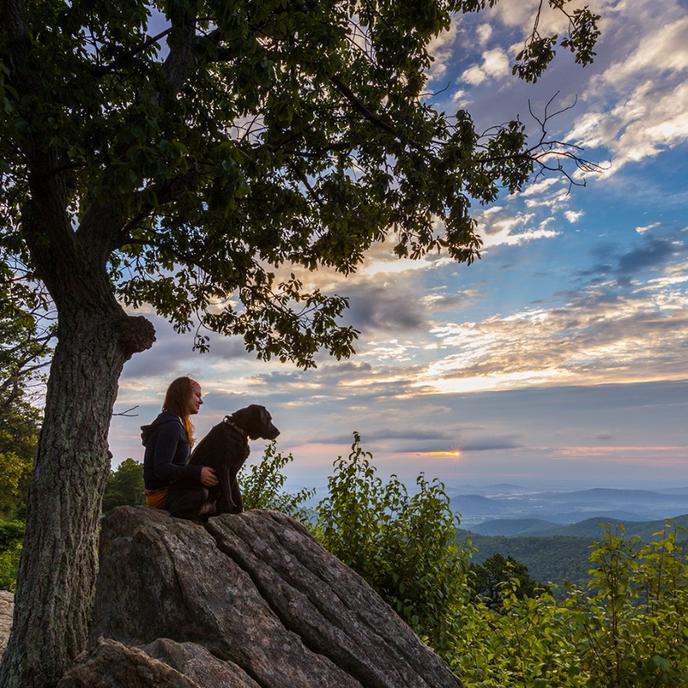 Pet-Friendly Hiking in Shenandoah National Park Take a pet-friendly hike in Shenandoah National Park.