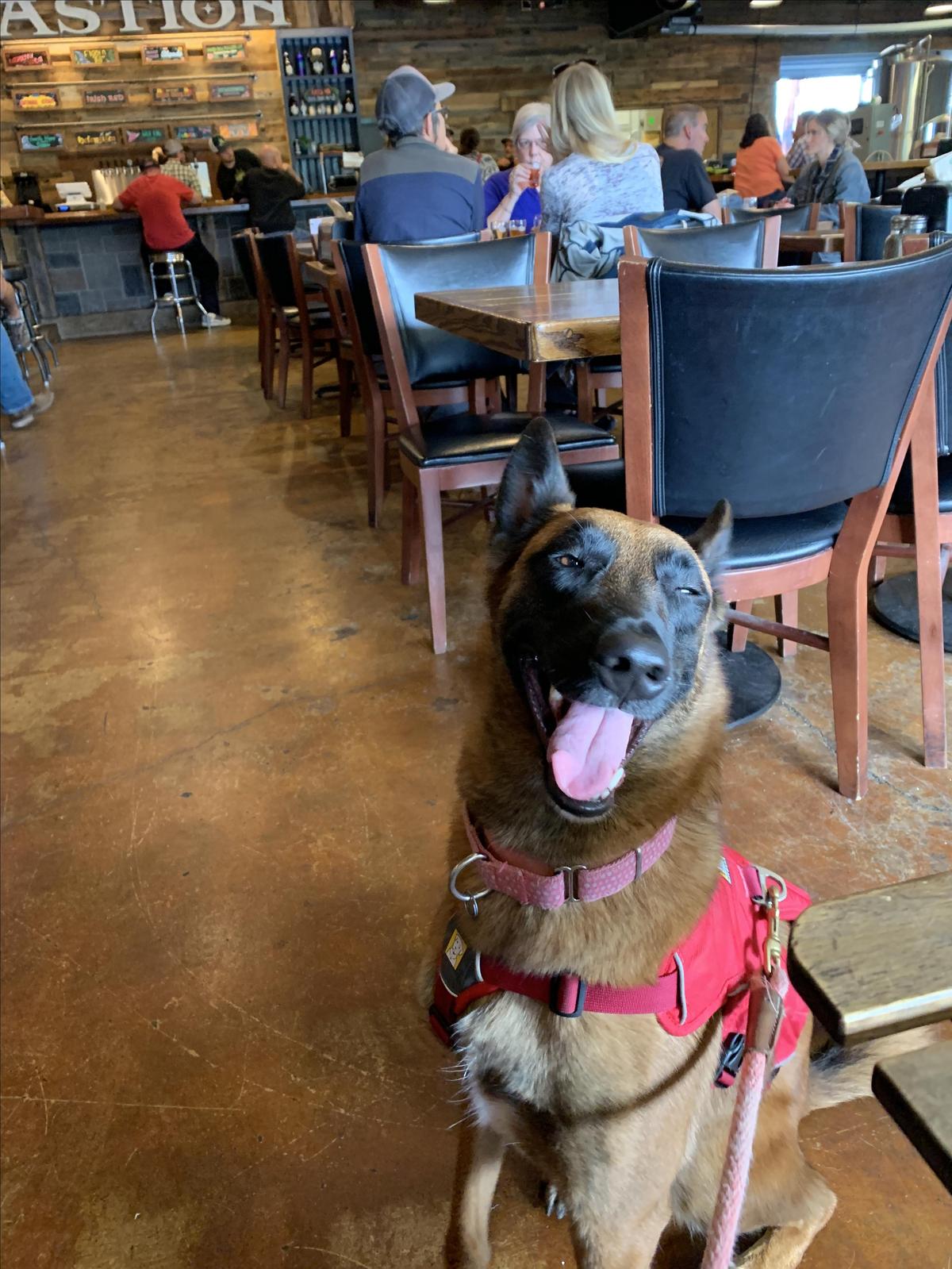 Bastion Brewing Company restaurant view 1