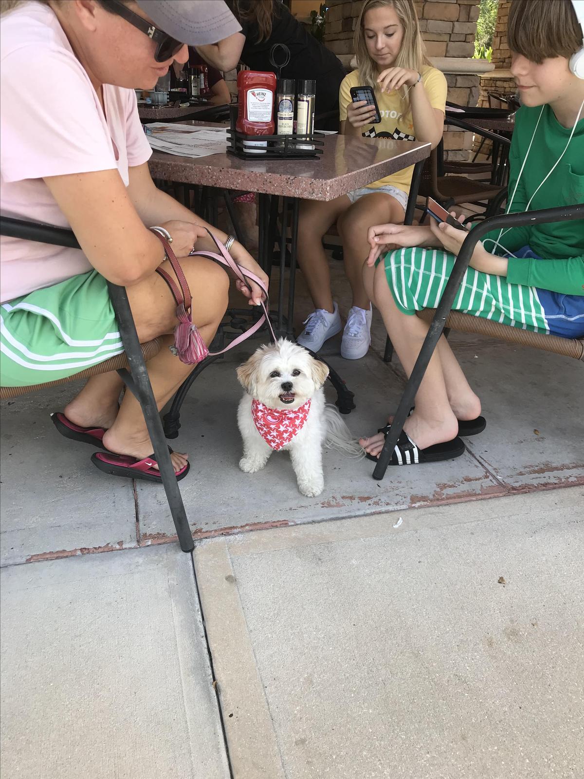 Another Broken Egg Cafe restaurant view 4