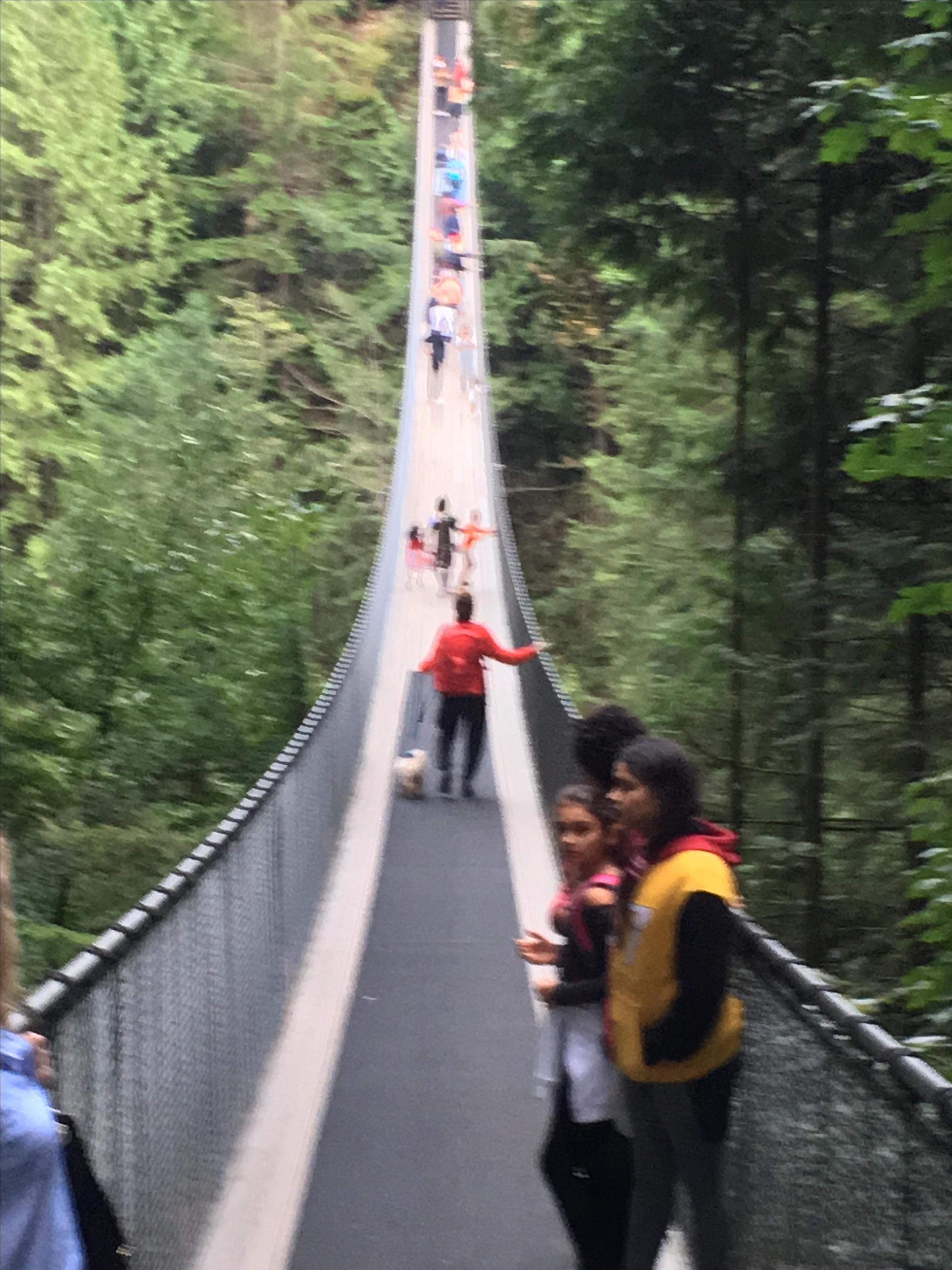 se permiten perros en el puente colgante de capilano