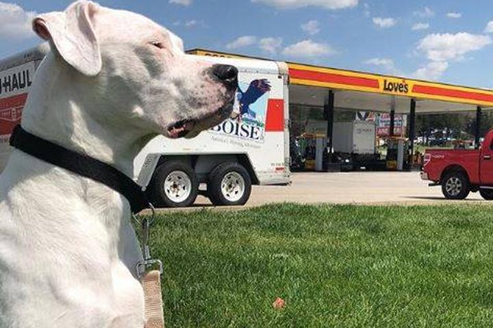Love's Travel Stops is adding 90 new dog parks to its locations.