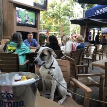 Jesse Oaks restaurant view 1