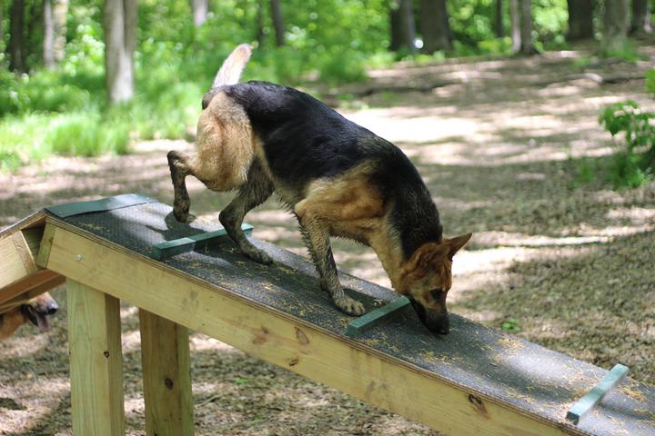 Pet Friendly Brown County Dog Park