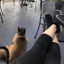 Bunga Burger Bar restaurant view 1