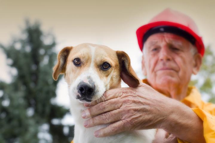 How to Keep Your Dog Safe During a Wildfire.