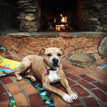 Cambria Pines Lodge Restaurant restaurant view 1