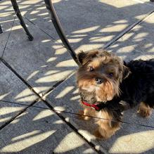 Wyatt's Twisted Americana restaurant view 1