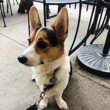 Barley's restaurant view 1