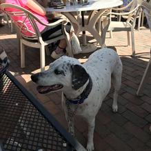 Foxy's restaurant view 2