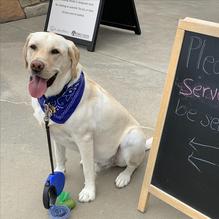 Public House Brewing Company restaurant view 10