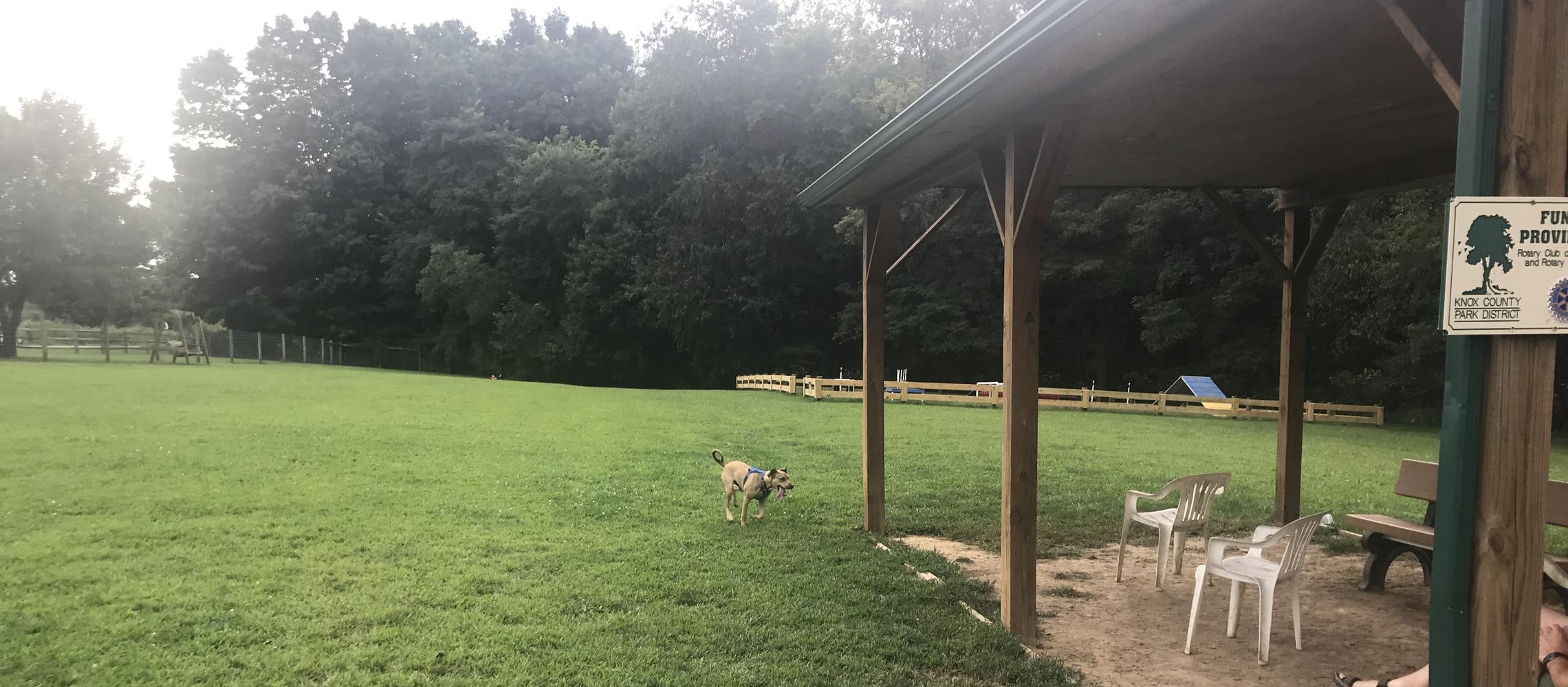 Dog Friendly Mount Vernon, OH