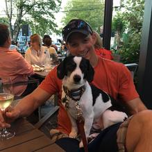 Old Vines Wine Bar restaurant view 1