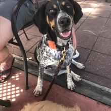 Hideaway Bar & Grill restaurant view 1