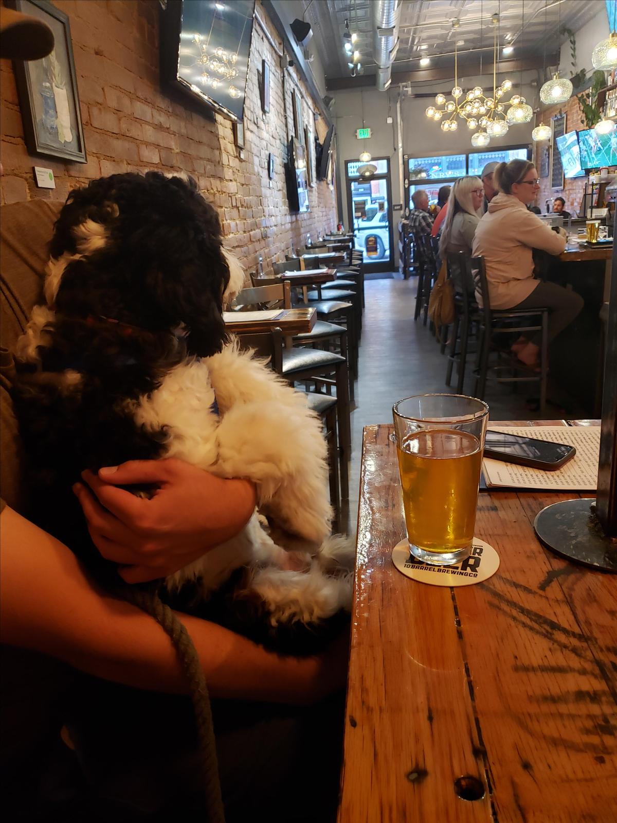 Loveland Tap & Tavern restaurant view 4