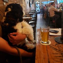 Loveland Tap & Tavern restaurant view 3