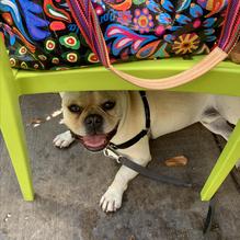 Twisted Sage Cafe & Catering restaurant view 1