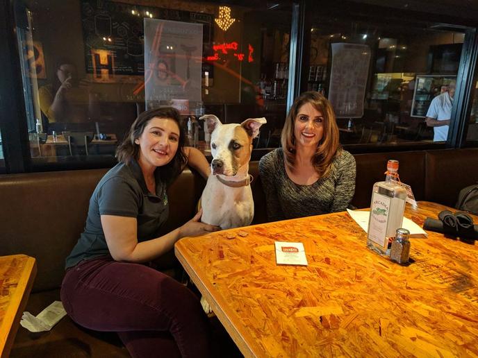 A dog and his humans at the pet-friendly Oktoberfest: Beers, Brats, Best Friends. Dogs are the guests of honor at the pet-friendly Oktoberfest: Beers, Brats, Best Friends.