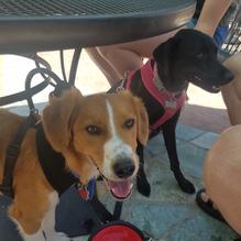 The Kitchen at 150 Sunset restaurant view 3