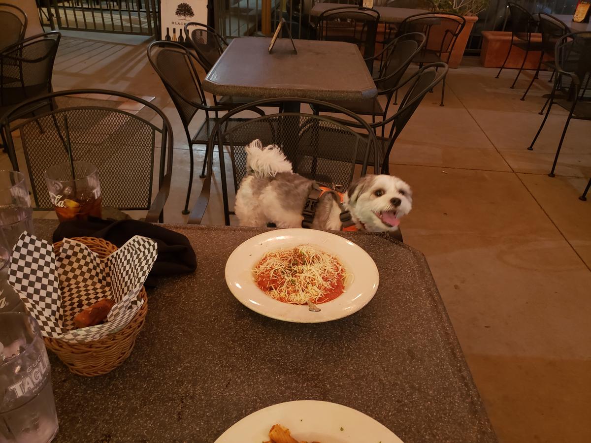 Cucina Tagliani restaurant view 1
