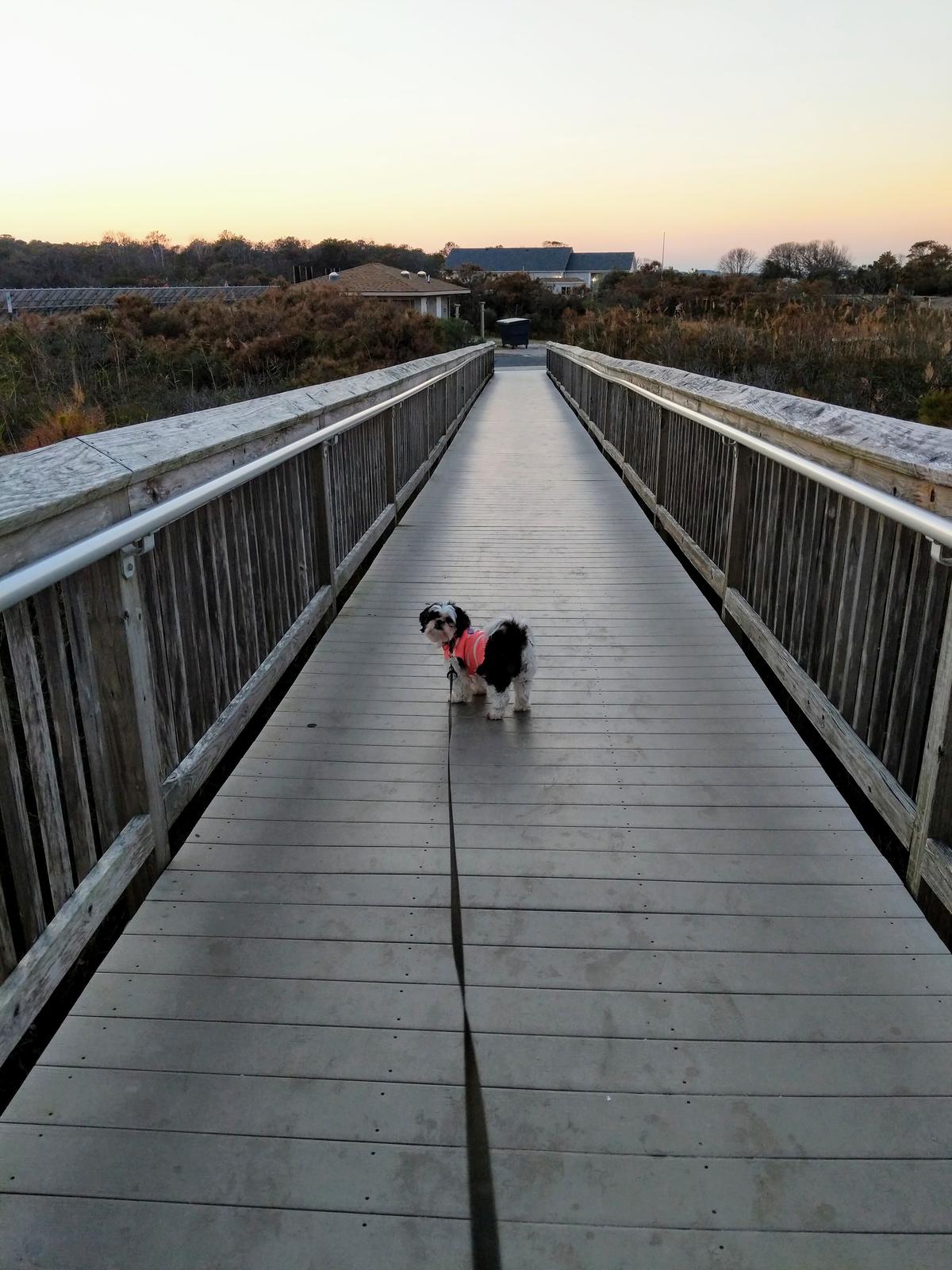 On the boardwalk