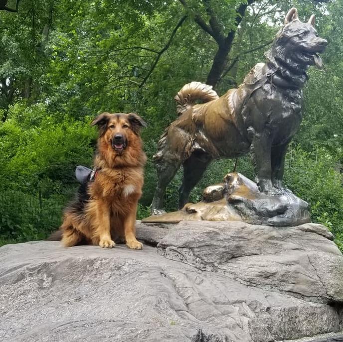 The Dog Memorial Celebrating Balto in Central Park. A Dog Monument for Balto in New York, NY.