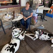 Milo's Cellar restaurant view 2