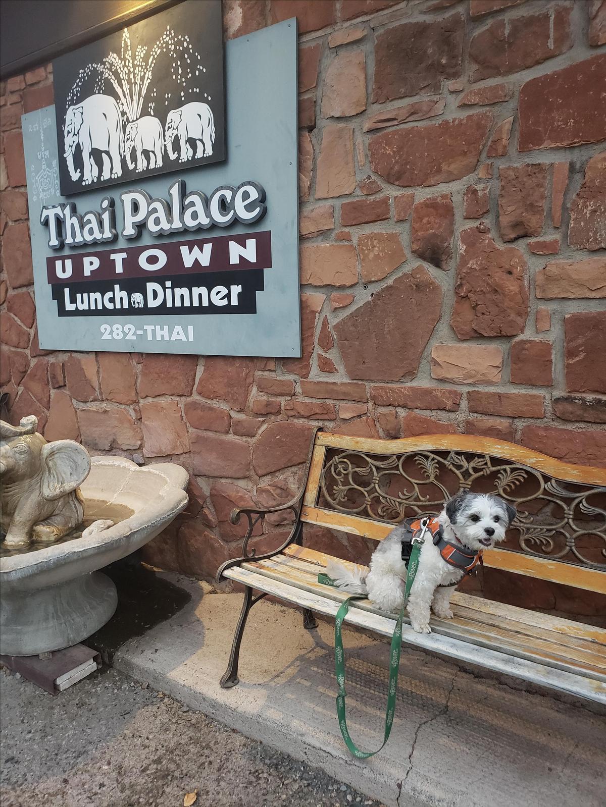 Thai Palace restaurant view 1