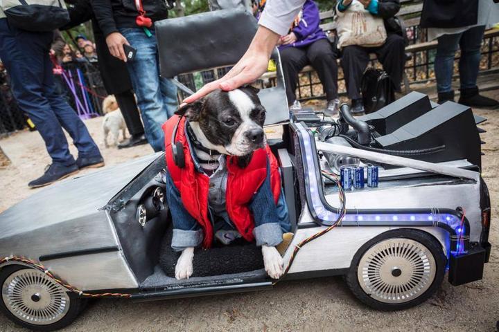 Visit Dog-Friendly Halloween Parades in New York City, NY.