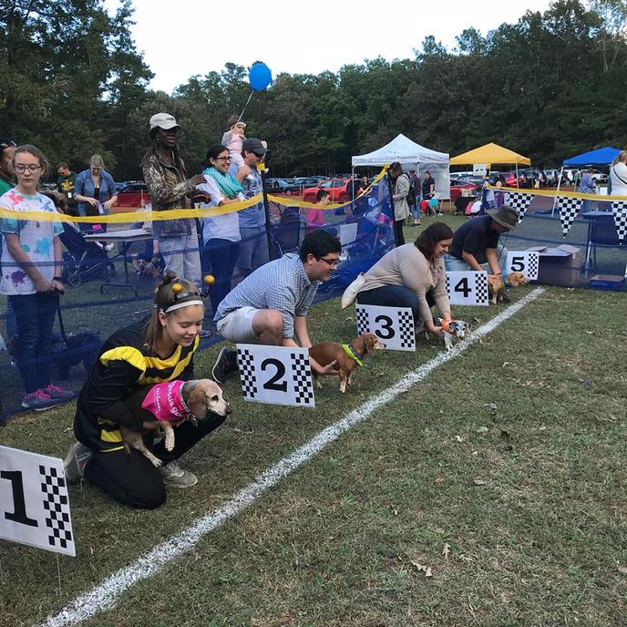 The Canine Carnival is a Dog-Friendly October Event Held In Williamsburg, VA. Bring Your Dog to the Canine Carnival in Williamsburg, VA.