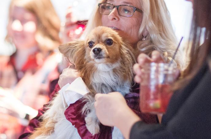 The Wine & Bitch Dinner Is a Dog-Friendly October Event Hosted In Greenough, MT. The Resort at Paws Up in Greenough, MT Hosts the Dog-Friendly Wine & Bitch Dinner in October.