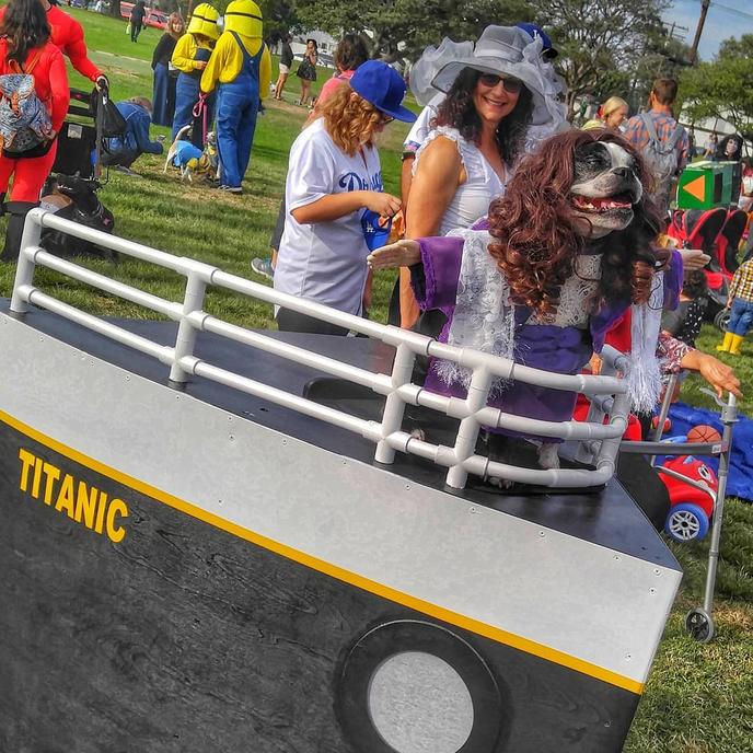 The Haute Dog Howl'oween Parade is a Pet Costume Parade in Long Beach, CA. Bring Your Dog to Long Beach, CA for a Pet Costume Parade.
