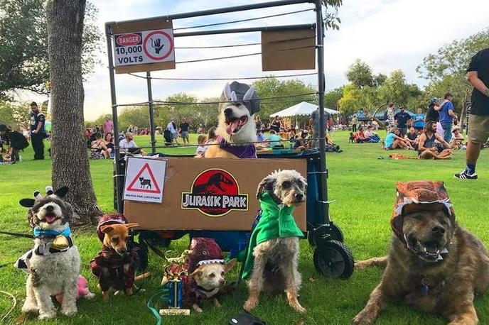 13 Fabulous Halloween Dog Parades to Attend in 2019 - Bring Fido