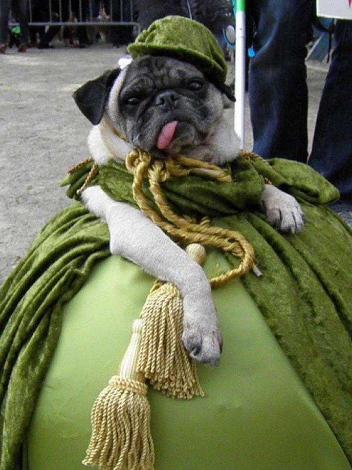 Tompkins Square Halloween Dog Parade is a Pet Costume Parade in New York City, NY. Enter Your Dog Into the Pet Costume Parade at the Tompkins Square Halloween Dog Parade.