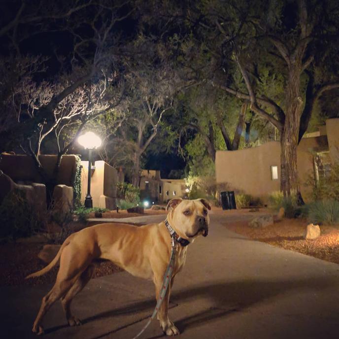 Visit the Dog-Friendly La Posada de Sante Fe in Sante Fe, NM. La Posada de Santa Fe is a Haunted Dog-Friendly Hotel in Sante Fe, NM.