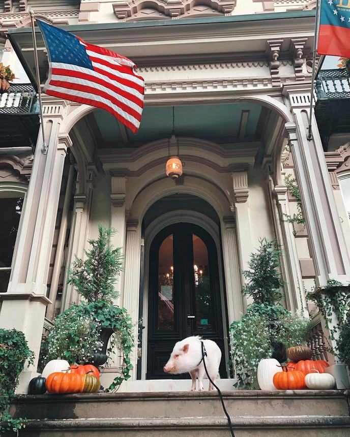 The Hamilton-Turner Inn is a Dog-Friendly Haunted Hotel in Savannah, GA. Visit Savannah, GA to Stay at the Haunted Dog-Friendly Hamilton-Turner Inn.