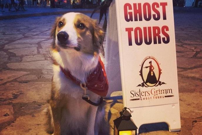 The Menger Hotel is a Dog-Friendly Haunted Hotel in San Antonio, TX. The Menger Hotel is a Haunted Dog-Friendly Hotel in San Antonio, TX.