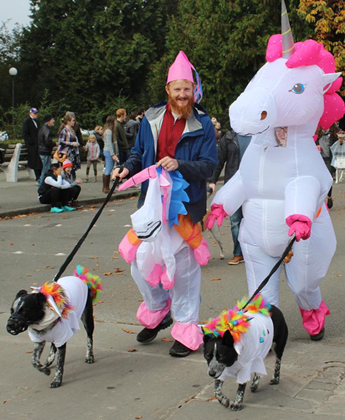 Bring Your Dog to Volunteer Park in Seattle, WA for a Pet Costume Parade. Halloween Pet Parade in Volunteer Park is Held In Downtown Seattle, WA.