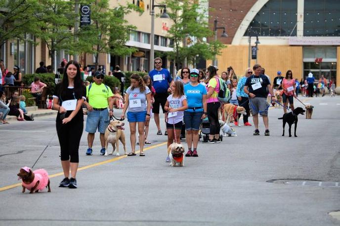 Pet Days at the Promenade and Pet Costume Parade is Held in Bolingbrook, IL. Bring Your Dog to the Pet Days at the Promenade and Pet Costume Parade in Downtown Bolingbrook, IL.