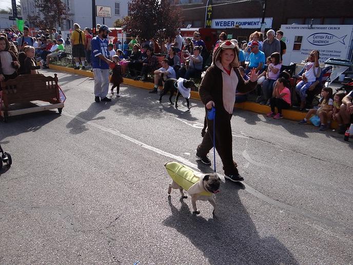 Bring Your Dog to the West Side Nut Club Fall Festival Pet Parade in Evansville, IN. Bring Your Dog to the West Side Nut Club Fall Festival Pet Parade in Evansville, IN.