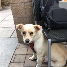 Wildflower Bread Company restaurant view 3