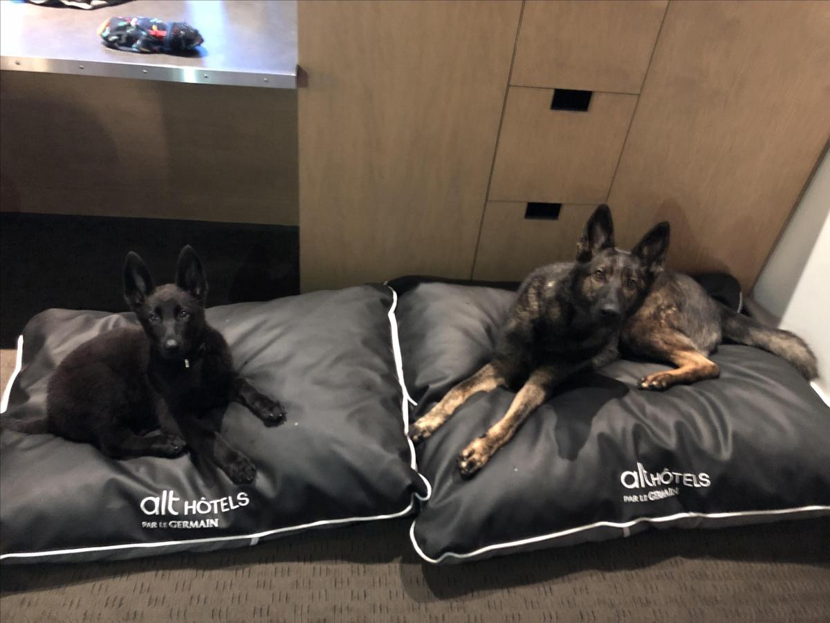 kaiya And Lilo At ALT hotel