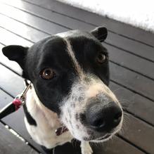 Haunted Hamburger restaurant view 7