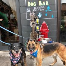 Forager Brewery & Kutzky Market restaurant view 8