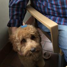 Villa Rifici restaurant view 1