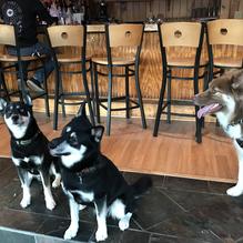 Cigar Shenanigans restaurant view 1