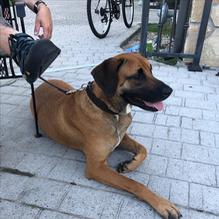 Harry's at the Harbor restaurant view 3